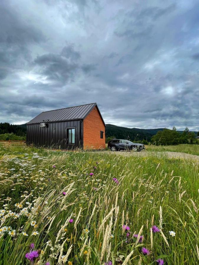 Barn S&S House Villa Mykulychyn Eksteriør billede